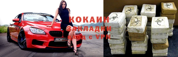 индика Аркадак