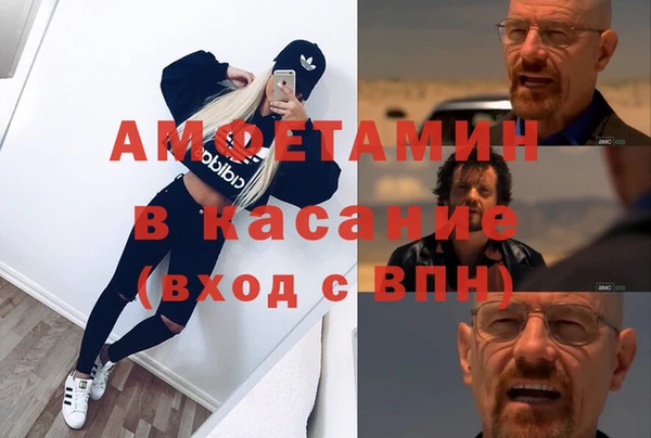 индика Аркадак