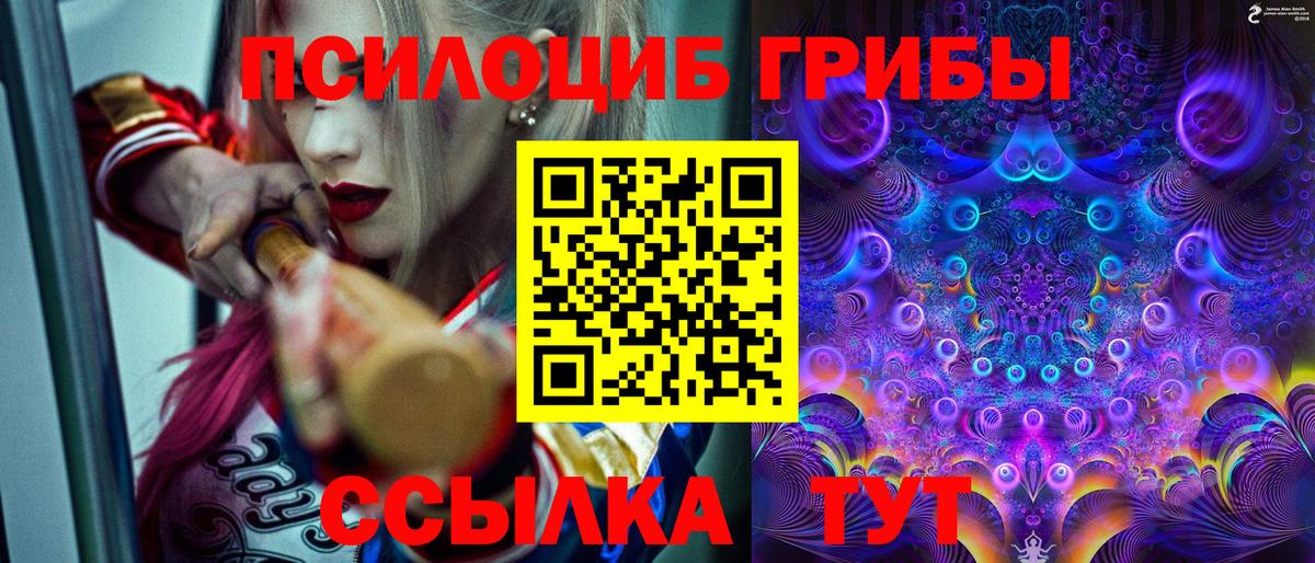 Псилоцибиновые грибы Psilocybine cubensis  Галлюциногенные грибы ЛСД  как найти   Междуреченск  Вход с VPN 