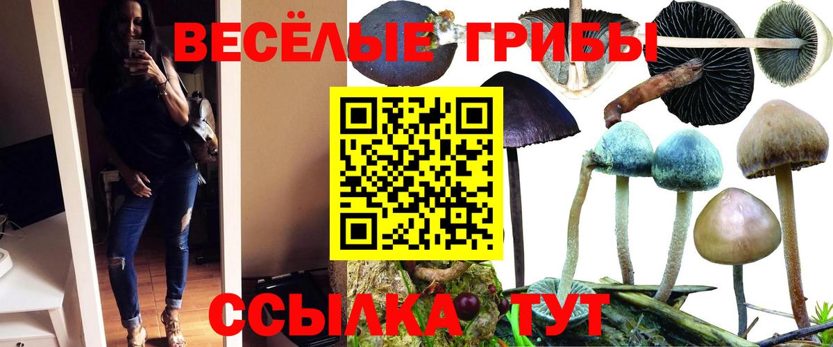 Псилоцибиновые грибы GOLDEN TEACHER Междуреченск
